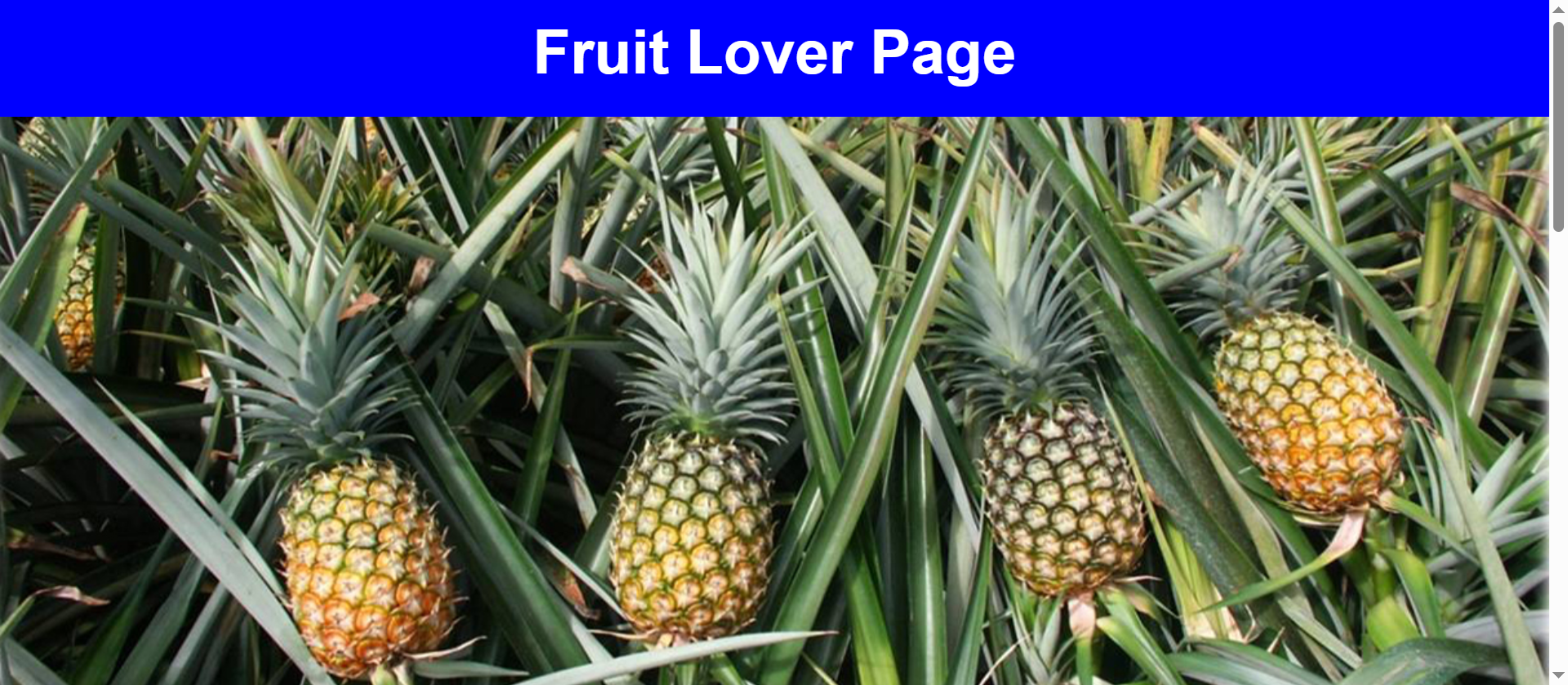 fruit